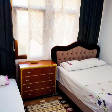 Lily With Amazing View House With Garden Apartment Gokceada