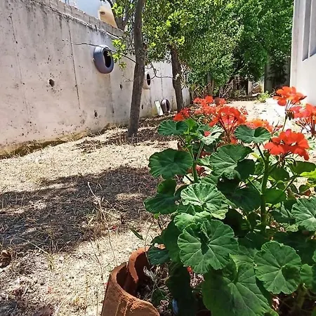 Lily With Amazing View House With Garden Apartment