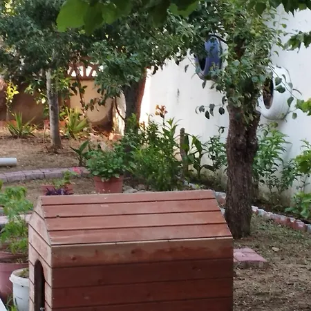 Lily With Amazing View House With Garden İmroz